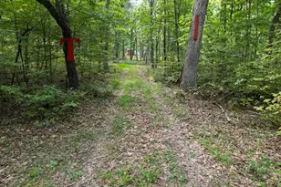 1552 Old Smith Farm Rd, Green Spring, WV 26722 - Photo 5