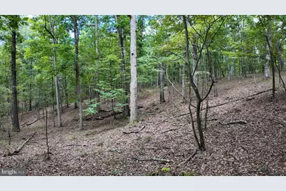 1552 Old Smith Farm Road, Green Spring, WV 26722 - Photo 25