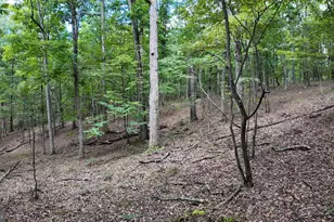 1552 Old Smith Farm Rd, Green Spring, WV 26722 - Photo 25
