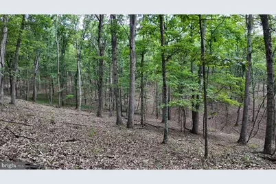1552 Old Smith Farm Road, Green Spring, WV 26722 - Photo 21