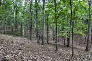 1552 Old Smith Farm Rd, Green Spring, WV 26722 - Photo 21