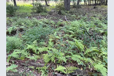 218 Bluffs On The Potomac, Romney, WV 26757 - Photo 21
