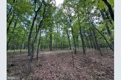 218 Bluffs On The Potomac, Romney, WV 26757 - Photo 17