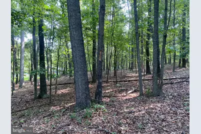 6376 Spring Gap Road, Slanesville, WV 25444 - Photo 3