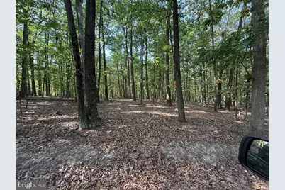 6376 Spring Gap Road, Slanesville, WV 25444 - Photo 9