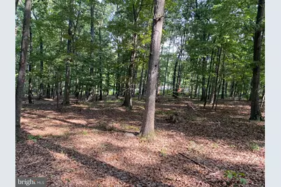 6376 Spring Gap Road, Slanesville, WV 25444 - Photo 13