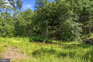 8570 Bloomery, Paw Paw, WV 25434 - Photo 55