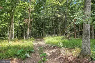 123 Blakes Way, High View, WV 26808 - Photo 33
