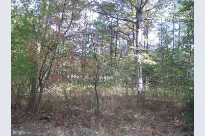 Autumn Lane, Capon Bridge, WV 26711 - Photo 1