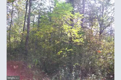 Autumn Lane, Capon Bridge, WV 26711 - Photo 3