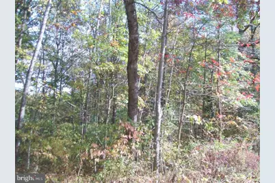 Autumn Lane, Capon Bridge, WV 26711 - Photo 7