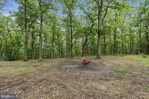 Dave Moreland Rd, Slanesville, WV 25444 - Photo 7