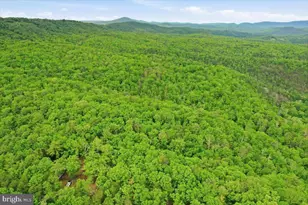 Dave Moreland Rd, Slanesville, WV 25444 - Photo 29
