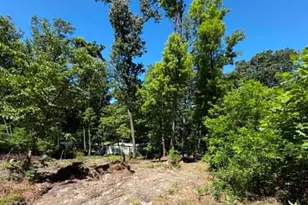 51 Cabin Rd, Augusta, WV 26704 - Photo 17