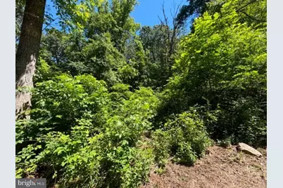 51 Cabin Road, Augusta, WV 26704 - Photo 5