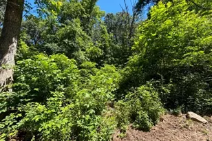 51 Cabin Rd, Augusta, WV 26704 - Photo 5