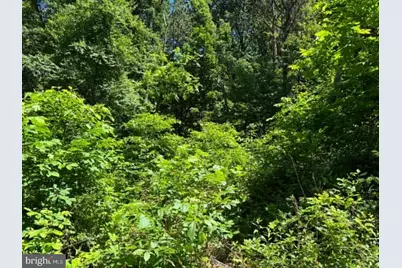 51 Cabin Road, Augusta, WV 26704 - Photo 21