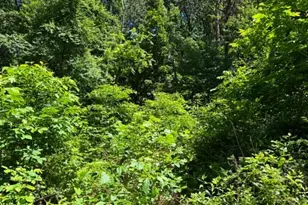 51 Cabin Rd, Augusta, WV 26704 - Photo 21