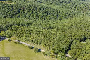 374 Farm View Ln, Romney, WV 26757 - Photo 103