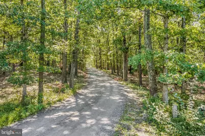374 Farm View Lane, Romney, WV 26757 - Photo 85