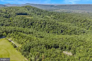 374 Farm View Ln, Romney, WV 26757 - Photo 99