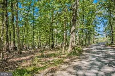 374 Farm View Lane, Romney, WV 26757 - Photo 89