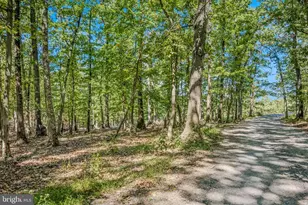 374 Farm View Ln, Romney, WV 26757 - Photo 89