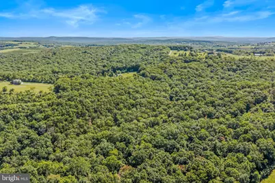 374 Farm View Lane, Romney, WV 26757 - Photo 93