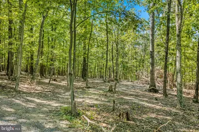 Farm View Lane, Romney, WV 26757 - Photo 3