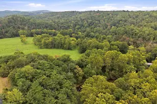 9184 Cold Stream Rd, Capon Bridge, WV 26711 - Photo 57