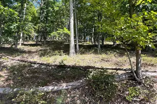 280 Clara Davis Ln, Augusta, WV 26704 - Photo 47