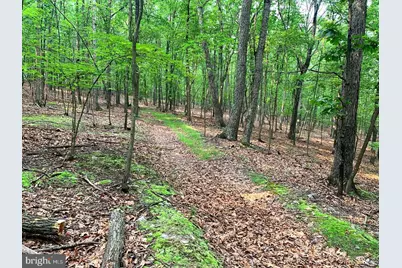 Cardinal View Road, Paw Paw, WV 25434 - Photo 11