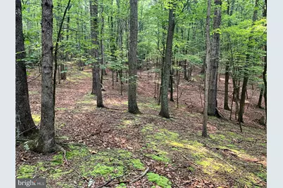 Cardinal View Road, Paw Paw, WV 25434 - Photo 19