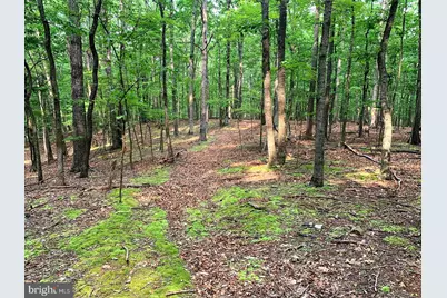 Cardinal View Road, Paw Paw, WV 25434 - Photo 15