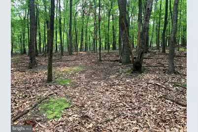Cardinal View Road, Paw Paw, WV 25434 - Photo 21