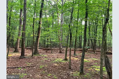 Cardinal View Road, Paw Paw, WV 25434 - Photo 17