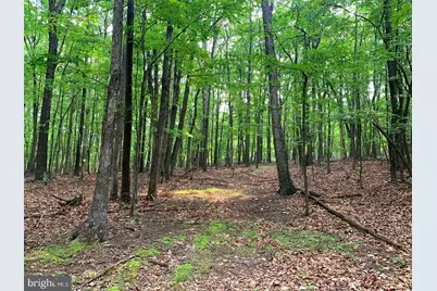 Cardinal View Road, Paw Paw, WV 25434 - Photo 13