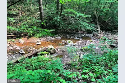 Cardinal View Road, Paw Paw, WV 25434 - Photo 9