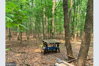 Cardinal View Road, Paw Paw, WV 25434 - Photo 1