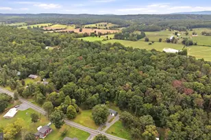 925 Christian Church Rd, High View, WV 26808 - Photo 49