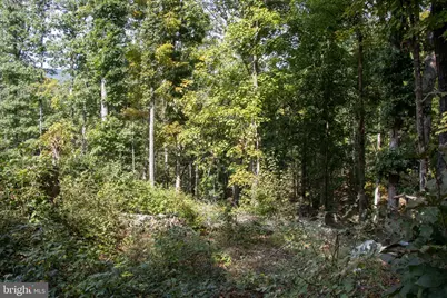 465 Short Mountain Heights Boulevard, Delray, WV 26714 - Photo 49