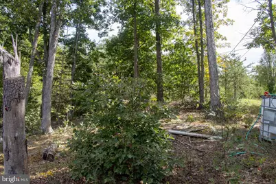 465 Short Mountain Heights Boulevard, Delray, WV 26714 - Photo 39
