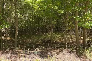 669 Capon Woods Resort Rd, High View, WV 26808 - Photo 1
