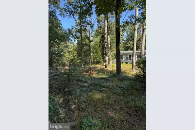 669 Capon Woods Resort Road #LOT 19, High View, WV 26808 - Photo 11