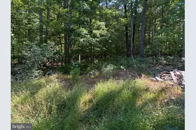 669 Capon Woods Resort Road #LOT 19, High View, WV 26808 - Photo 15