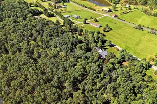 223 Fruit Orchard Dr, Capon Bridge, WV 26711 - Photo 85