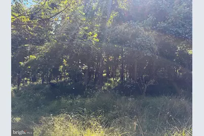 Lot 205 Graces Cabin Road, Springfield, WV 26763 - Photo 5