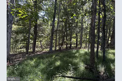 Lot 205 Graces Cabin Road, Springfield, WV 26763 - Photo 13