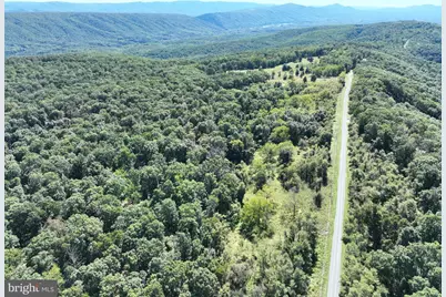 Lot 205 Graces Cabin Road, Springfield, WV 26763 - Photo 21