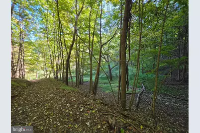 Lots 5 & 6 Proctor Road, Purgitsville, WV 26852 - Photo 37